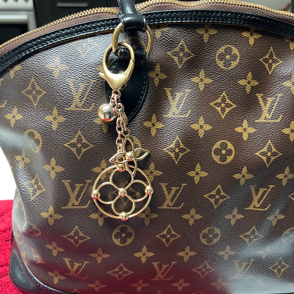 Louis Vuitton
Handbag Charm
Bloomy M67931 - Picture 8 of 13